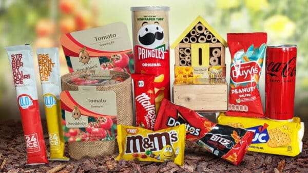Zomers groeipakket tomaten en insectenhotel