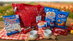Typisch Hollands zomerpakket met stroopwafels, keezenspel en Hollandse boodschappentas